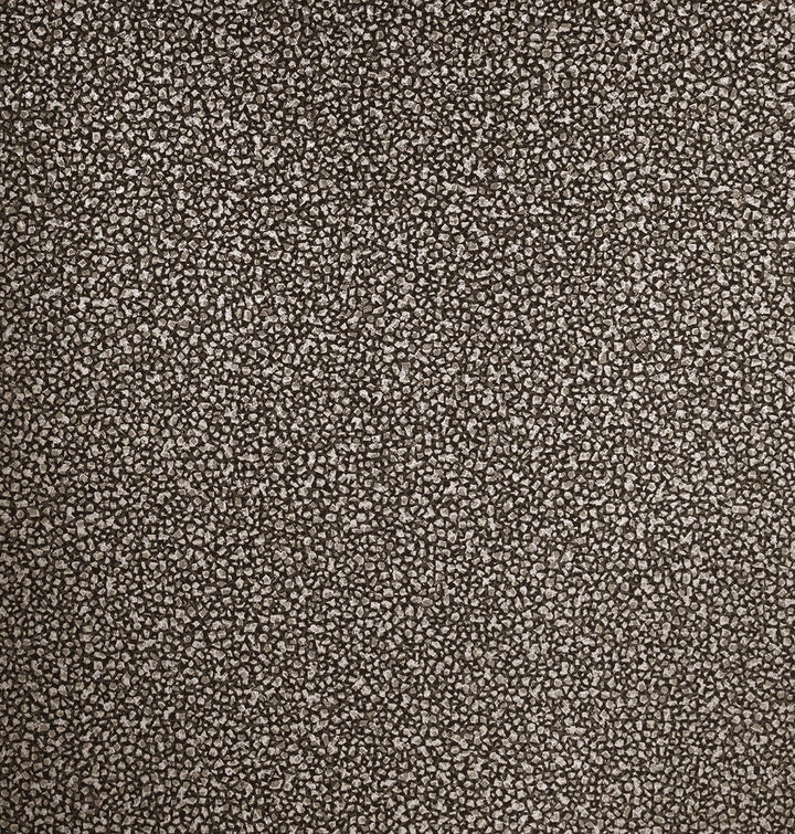 Mica Texture Coal & Silver Glitter 2231610 by Etten Gallerie Designer Wallpaper