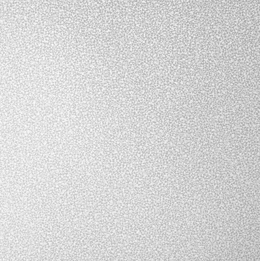Mica Texture Beige & Silver Glitter 2231623 by Etten Gallerie Designer Wallpaper