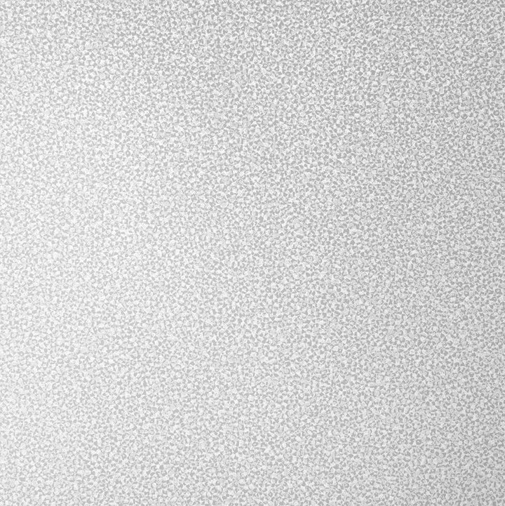 Mica Texture Beige & Silver Glitter 2231623 by Etten Gallerie Designer Wallpaper