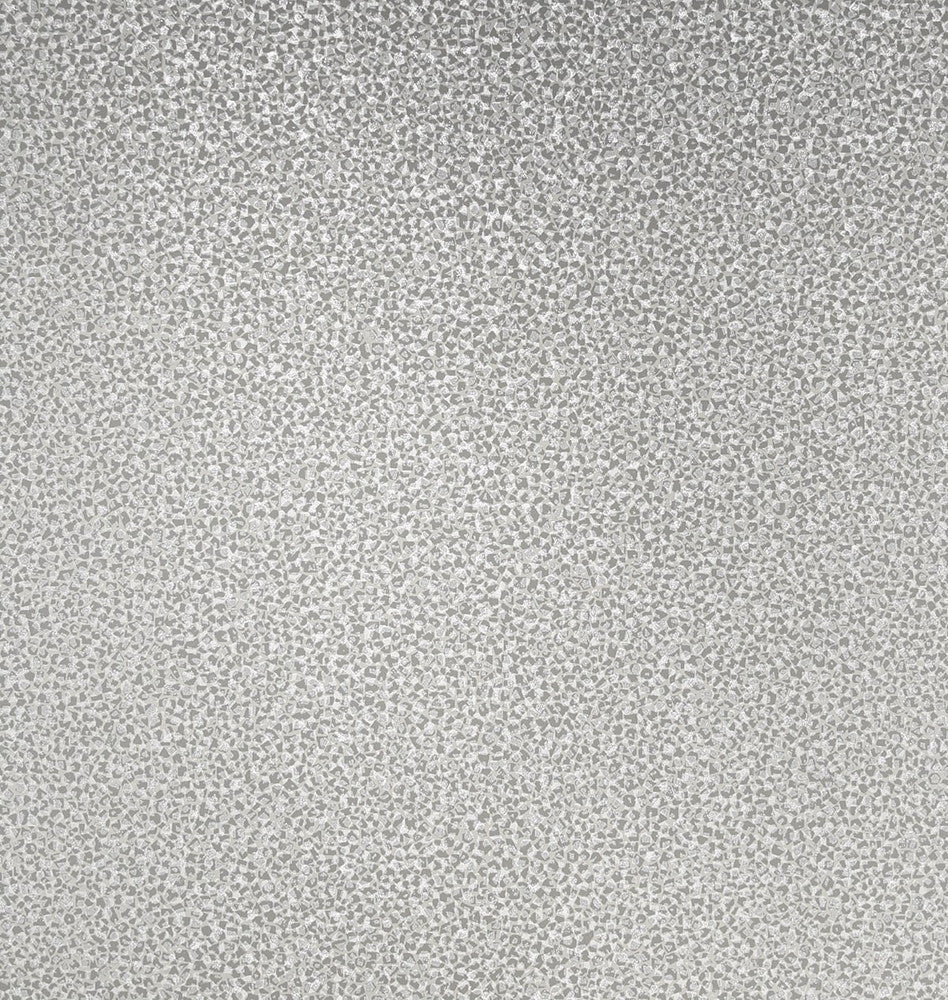 Mica Texture Dove Gray & Silver Glitter 2231631 by Etten Gallerie Designer Wallpaper