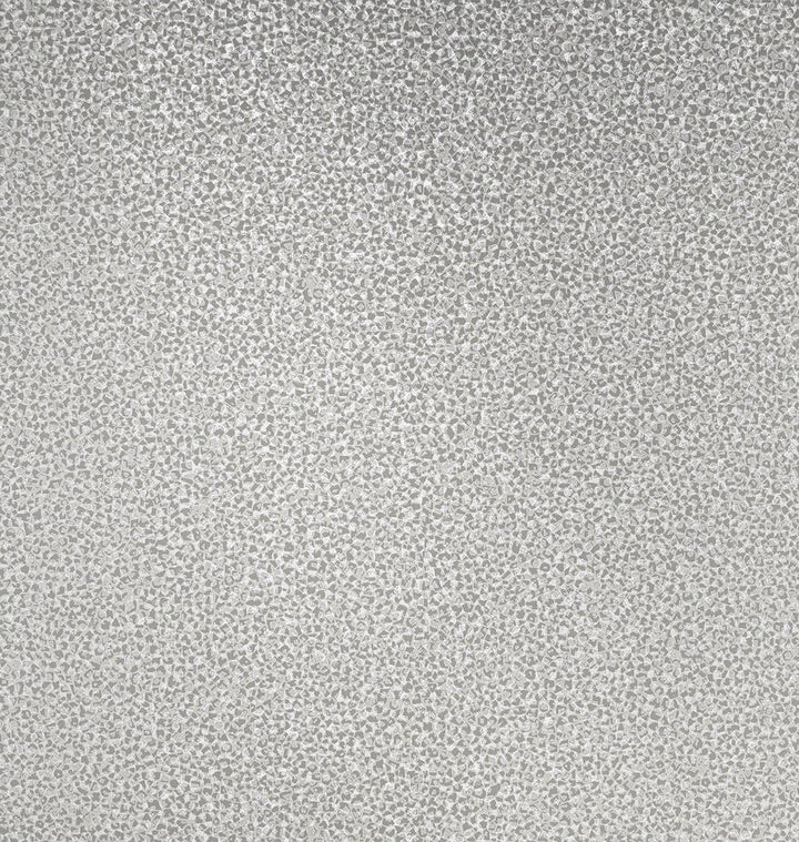 Mica Texture Dove Gray & Silver Glitter 2231631 by Etten Gallerie Designer Wallpaper