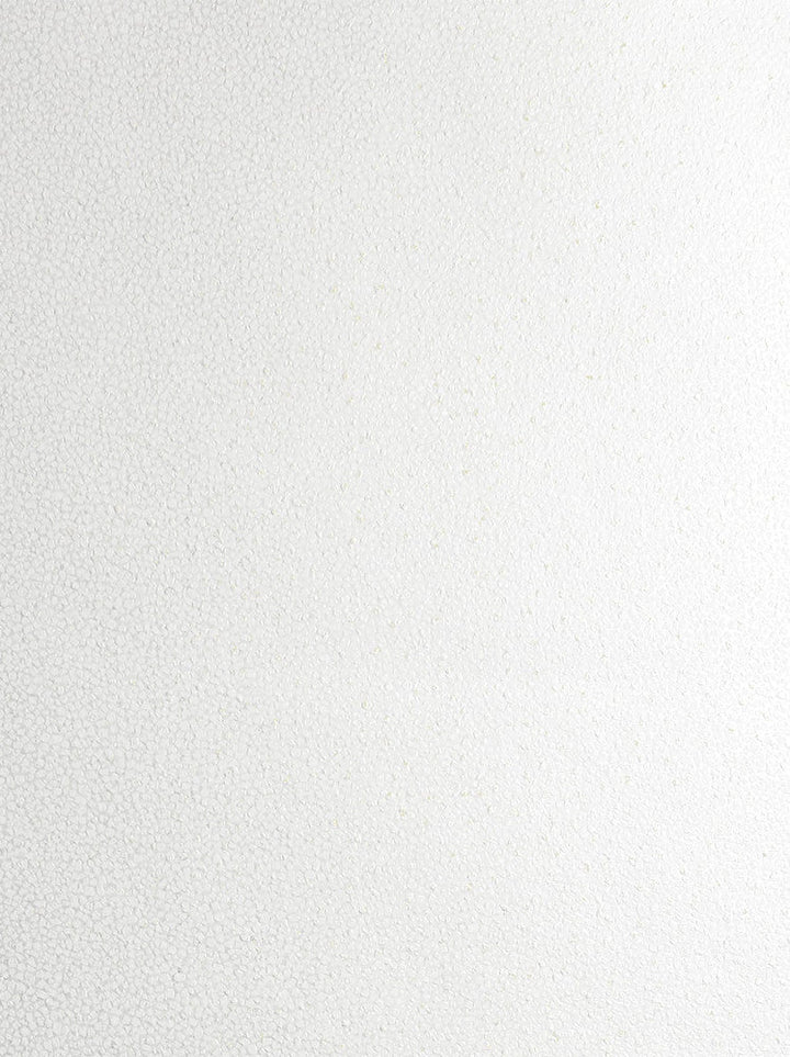 Mica Texture Metallic Pearl & Champagne 2231633 by Etten Gallerie Designer Wallpaper