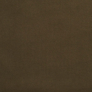 Charlotte Fabric 2237 Hunter