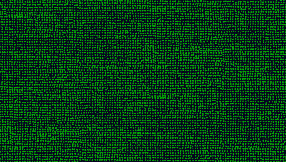 Orkanen Green and Midnight Blue 23310X by Marimekko Designer Wallpaper