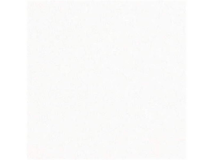 24570.101 by Kravet Basics Designer Fabric Perfect Plains Linen 100% Russian Federation Light Horizontal: see sample and Vertical: see sample 55 inches - Swanky Fabrics -