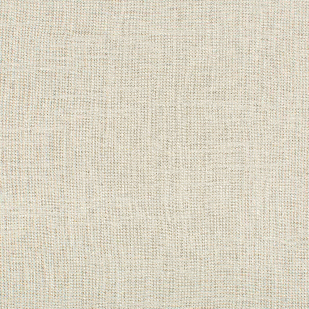 24573-1600 by Kravet Basics Designer Fabric LINEN - 55%;VISCOSE - 45% China MEDIUM Horizontal: 0 and Vertical: 0 55 - Swanky Fabrics -