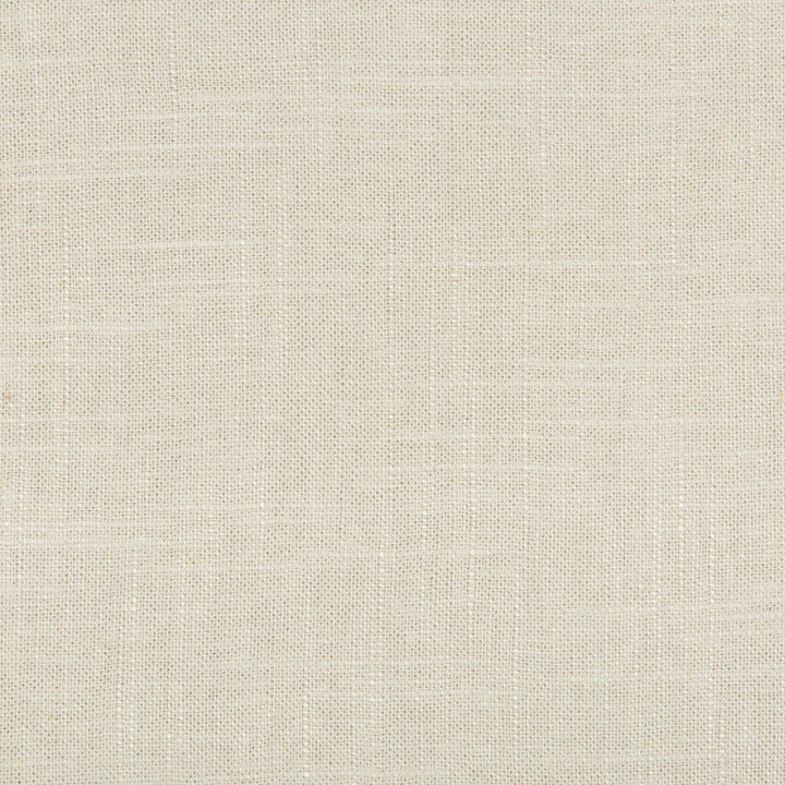24573-1600 by Kravet Basics Designer Fabric LINEN - 55%;VISCOSE - 45% China MEDIUM Horizontal: 0 and Vertical: 0 55 - Swanky Fabrics -