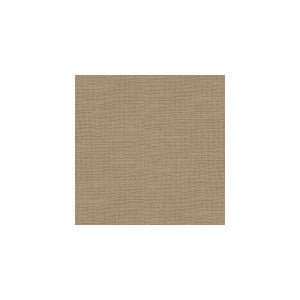 Kravet Fabric Barnegat Sand