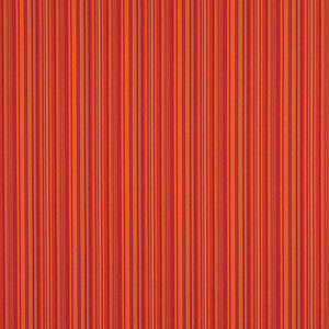 Charlotte Fabric 2466 Fiesta