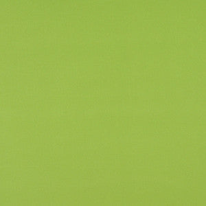Charlotte Fabric 2469 Lime
