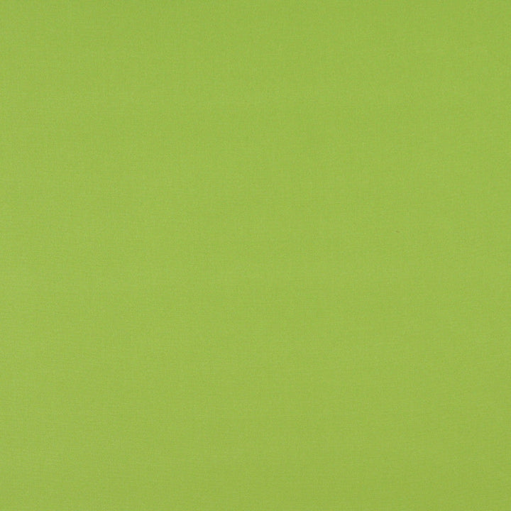 2469 Lime by Charlotte Designer Fabric All Seasons & Outdoor/Indoor Oasis II 100% Solution Dyed Woven Acrylic Italy Exceeds 140,000 Wyzenbeek Rubs (Heavy Duty) No Repeat 54 Inches - Swanky Fabrics -