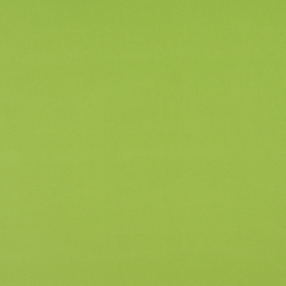 2469 Lime by Charlotte Designer Fabric All Seasons & Outdoor/Indoor Oasis II 100% Solution Dyed Woven Acrylic Italy Exceeds 140,000 Wyzenbeek Rubs (Heavy Duty) No Repeat 54 Inches - Swanky Fabrics -