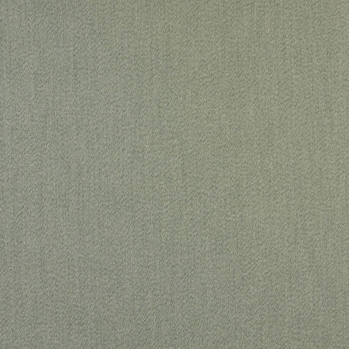 2471 Fern by Charlotte Designer Fabric All Seasons & Outdoor/Indoor Oasis II 100% Solution Dyed Woven Acrylic Italy Exceeds 140,000 Wyzenbeek Rubs (Heavy Duty) No Repeat 54 Inches - Swanky Fabrics -