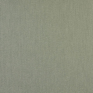 Charlotte Fabric 2471 Fern