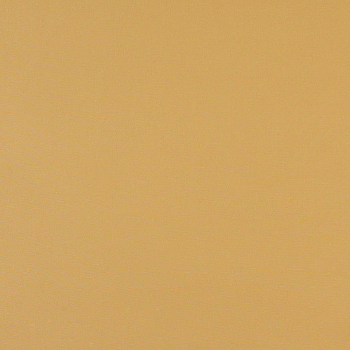 2474 Camel by Charlotte Designer Fabric All Seasons, Decorative Duck & Outdoor/Indoor Oasis II 100% Solution Dyed Woven Acrylic Italy Exceeds 140,000 Wyzenbeek Rubs (Heavy Duty) No Repeat 54 Inches - Swanky Fabrics -