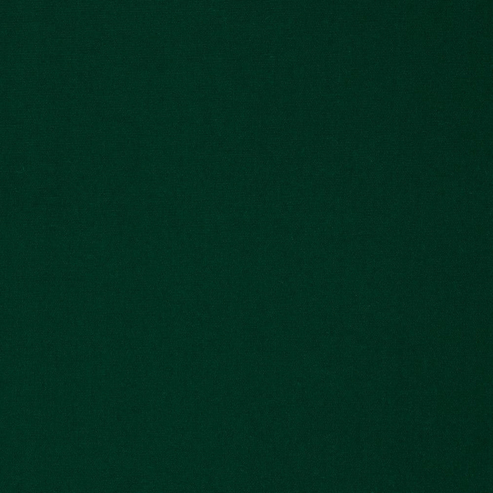 2478 Forest by Charlotte Designer Fabric All Seasons, Decorative Duck & Outdoor/Indoor Oasis II 100% Solution Dyed Woven Acrylic Italy Exceeds 140,000 Wyzenbeek Rubs (Heavy Duty) No Repeat 54 Inches - Swanky Fabrics -