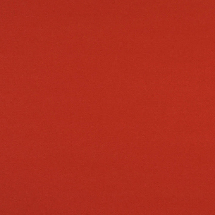 2479 Sienna by Charlotte Designer Fabric Outdoor/Indoor Oasis II 100% Solution Dyed Acrylic Italy Exceeds 140,000 Wyzenbeek Rubs (Heavy Duty) No Repeat 54 Inches - Swanky Fabrics -