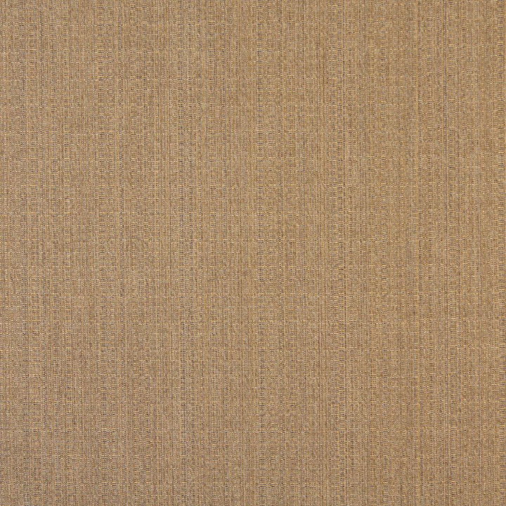 2483 Gold Dust by Charlotte Designer Fabric All Seasons, Decorative Duck & Outdoor/Indoor Oasis II 100% Solution Dyed Woven Acrylic Italy Exceeds 140,000 Wyzenbeek Rubs (Heavy Duty) No Repeat 54 Inches - Swanky Fabrics -