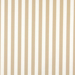 Charlotte Fabric 2484 Sand Canopy