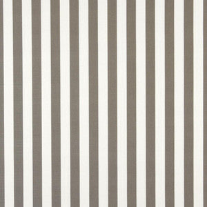 Charlotte Fabric 2486 Taupe Canopy
