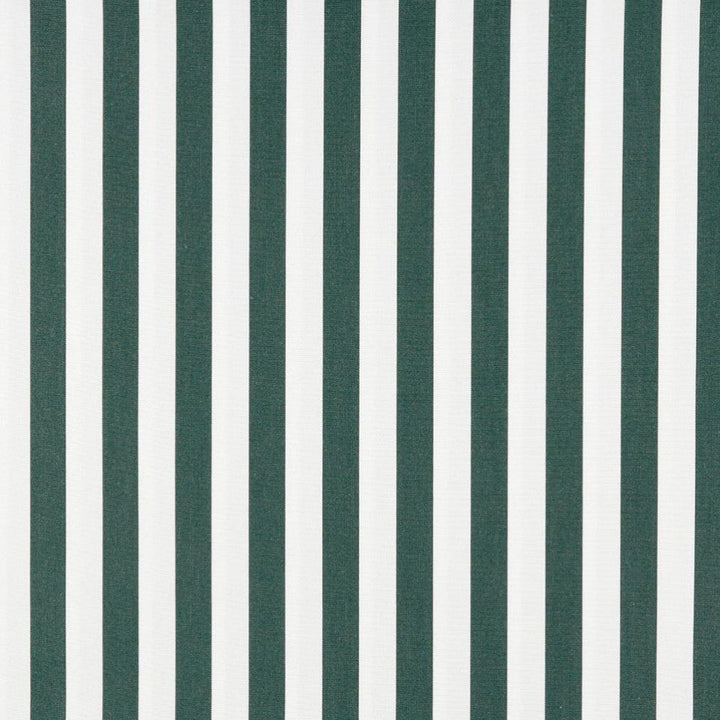 2488 Forest Canopy by Charlotte Designer Fabric All Seasons & Outdoor/Indoor Oasis II 100% Solution Dyed Woven Acrylic Italy Exceeds 140,000 Wyzenbeek Rubs (Heavy Duty) Horizontal: 2" 54 Inches - Swanky Fabrics -