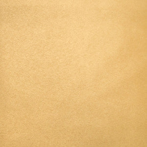 Europatex Fabric Pioneer 24