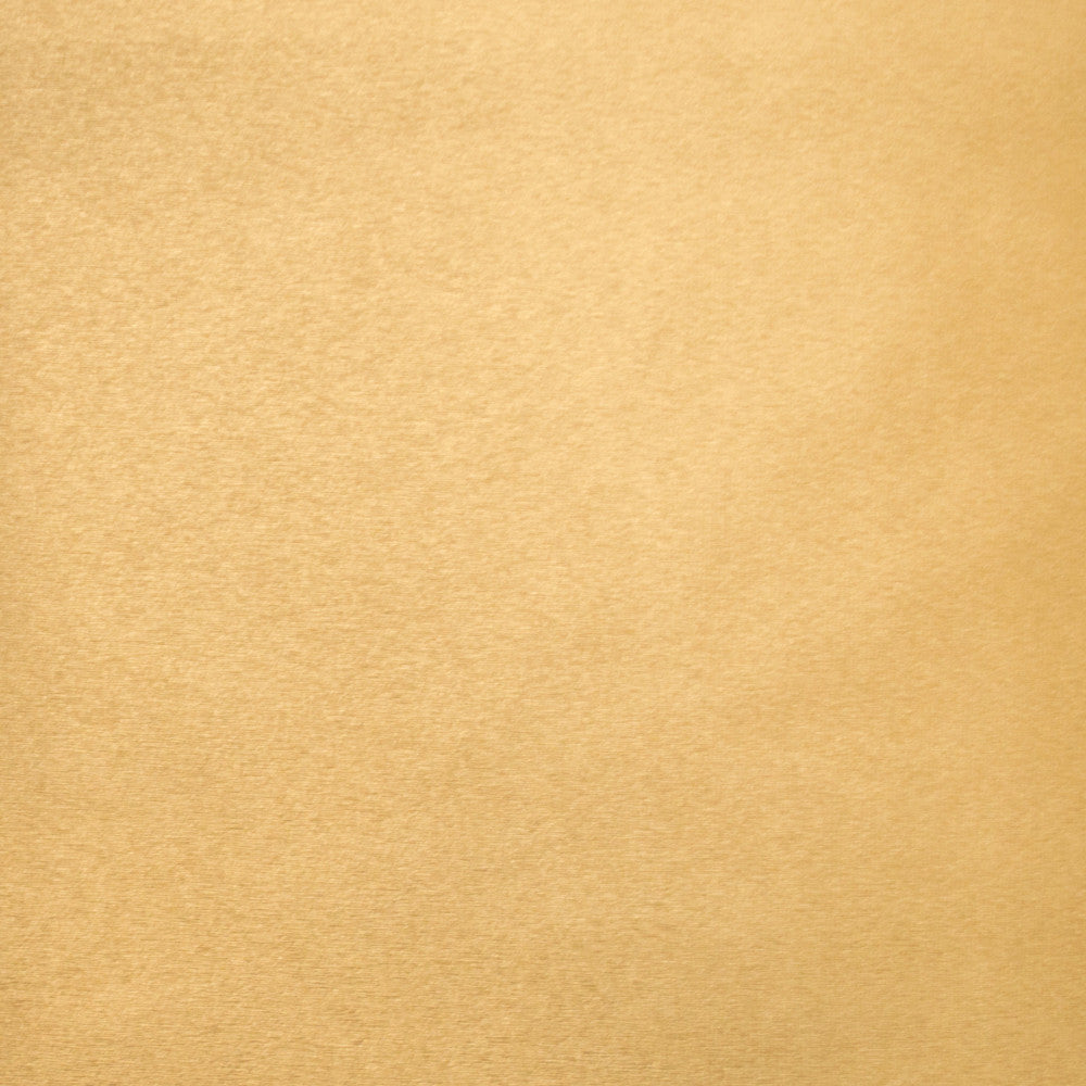 Pioneer 24 by Europatex Designer Fabric Pioneer 40% Polyester, 55% PVC, 5% PU 55.00 inches - Swanky Fabrics -