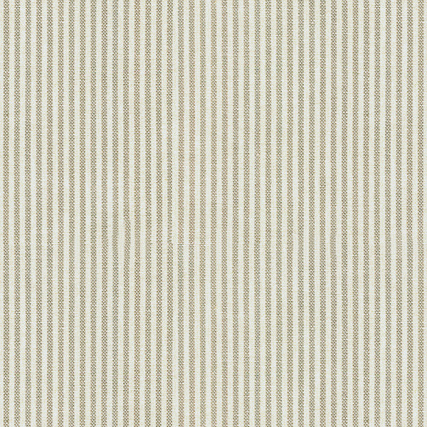 25099.11 by Kravet Basics Designer Fabric Perfect Plains Cotton 100% Portugal Heavy Horizontal: see sample and Vertical: see sample 54 inches - Swanky Fabrics -