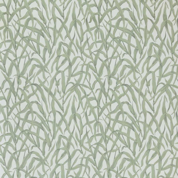 Ornamental Grasses (Wp) # 01 Sage by 1838 Wallcoverings Designer Wallpaper V&A Decorative Papers Iii STRAIGHT PASTE THE WALL UNITED KINGDOM V-21" 20.5"X11YD - Swanky Fabrics -