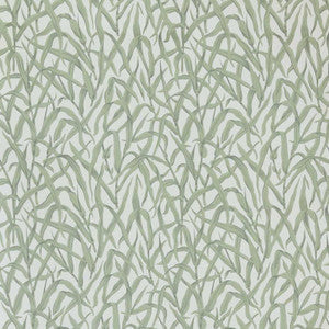 1838 Wallcoverings Wallpaper Ornamental Grasses (Wp) # 01 Sage