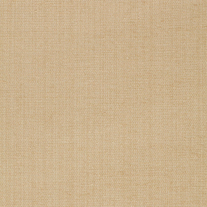 Waldon Chenille Sand 25741 by Schumacher Designer Fabric OPULENT TEXTURES RAYON 68% POLYESTER 24% UNITED STATES OF AMERICA WYZENBEEK 30,000 </p><p>Repeat: Horizontal: and Vertical: 54 - Swanky Fabrics -