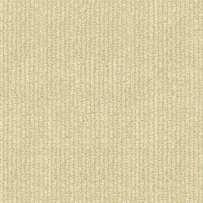 25763.16 by Kravet Design Designer Fabric in our sample Solution Dyed Acrylic 100% USA Heavy Horizontal: See Sample and Vertical: See Sample 54 inches - Swanky Fabrics -
