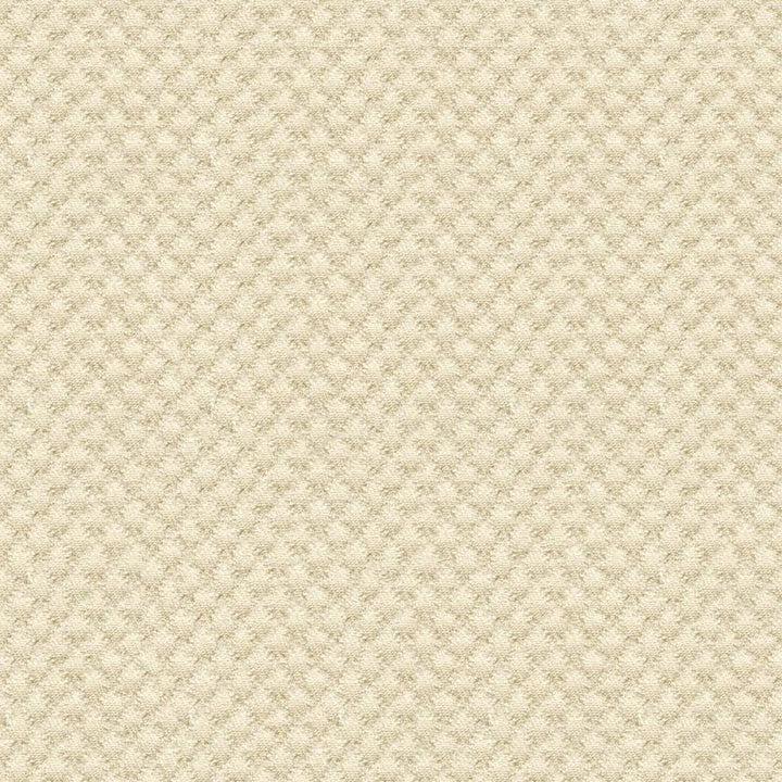 25807.1116 by Kravet Design Designer Fabric Sunbrella Solution Dyed Acrylic 100% USA Heavy Horizontal: see sample and Vertical: see sample 50 inches - Swanky Fabrics -
