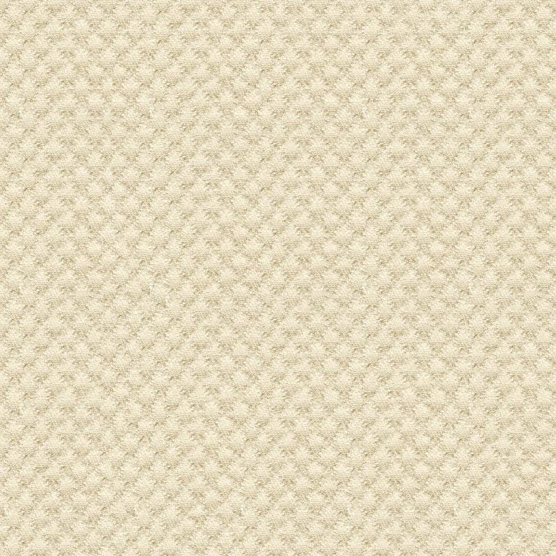 25807.1116 by Kravet Design Designer Fabric in our sample Solution Dyed Acrylic 100% USA Heavy Horizontal: See Sample and Vertical: See Sample 50 inches - Swanky Fabrics -