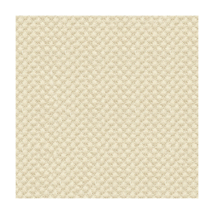 25807-1116 by Kravet Design Designer Fabric SUNBRELLA SOLUTION DYED ACRYLIC - 100% United States HEAVY Horizontal: 0 and Vertical: 0 50 - Swanky Fabrics -