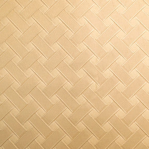 Europatex Fabric Pioneer 25