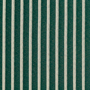 Charlotte Fabric 2610 Alpine/Stripe