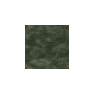Kravet Fabric Chic Velour Silver Sage