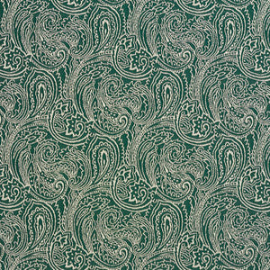 Charlotte Fabric 2628 Alpine/Paisley