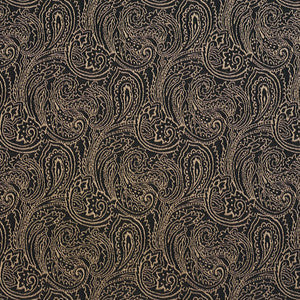Charlotte Fabric 2633 Onyx/Paisley