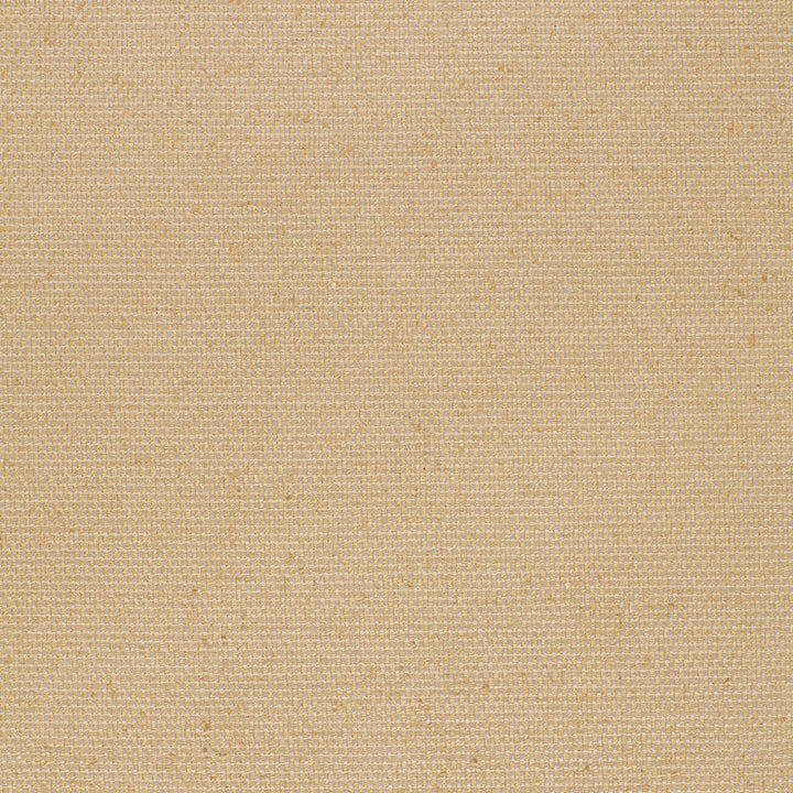 Shantung Plain Weave Sisal 2643461 by Schumacher Designer Fabric OPULENT TEXTURES See Sample INDIA LIGHT DUTY </p><p>Repeat: Horizontal: - and Vertical: - 54" WIDE (137CM) - Swanky Fabrics -