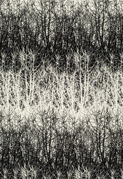 Birches Black 2644021 by Schumacher Designer Fabric - 100% Cotton - Horizontal: 13.5 and Vertical: 29.5 54 - Swanky Fabrics -