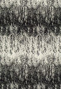 Schumacher Fabric Birches Black 2644021