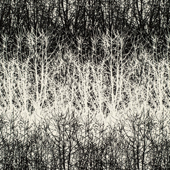 Birches Black 2644021 by Schumacher Fabric Schumacher Fabric Birches Black 2644021Fabric COTTON 100% UNITED STATES OF AMERICA </p><p>Repeat: H: HORZ. 13 1/2" (34CM) , V: VERT. 29 1/2" (75CM) 54 - Fabric Carolina -