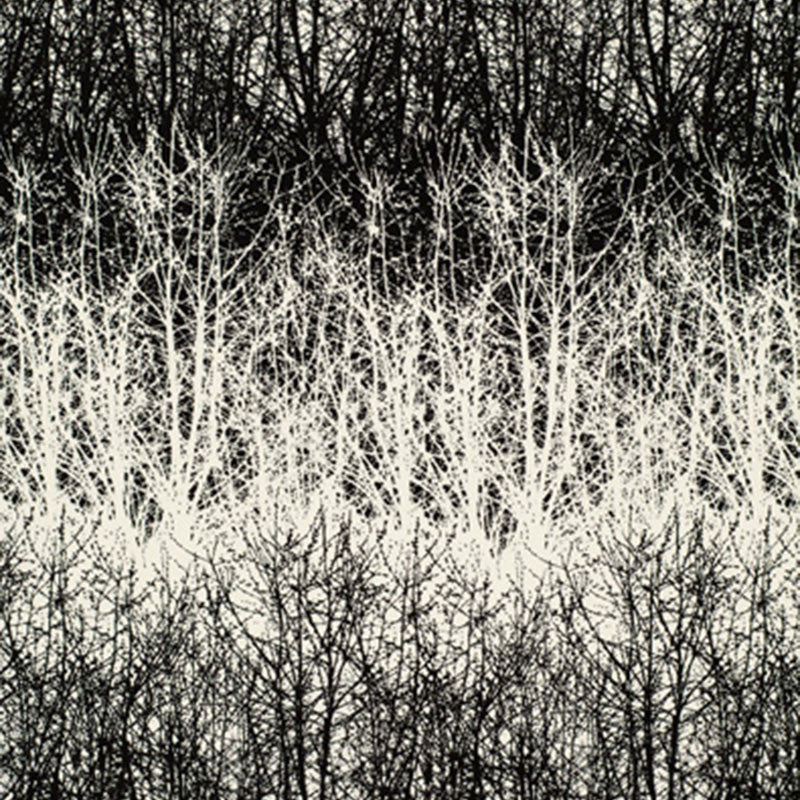 Birches Black 2644021 by Schumacher Designer Fabric GOOD VIBRATIONS See Sample UNITED STATES OF AMERICA TO BE DETERMINED </p><p>Repeat: Horizontal: 13 1/2" (34CM) and Vertical: 29 1/2" (75CM) 54" WIDE (137CM) - Swanky Fabrics -