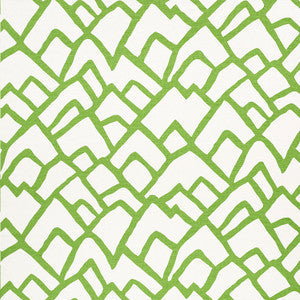 Schumacher Fabric Zimba Lawn 2644335
