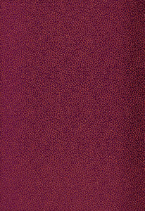 Schumacher Fabric Kyousha Silk Lacquer 2644520