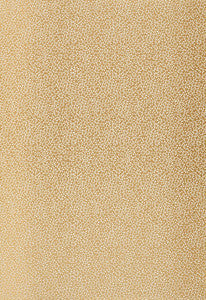 Schumacher Fabric Kyousha Silk Champagne 2644521