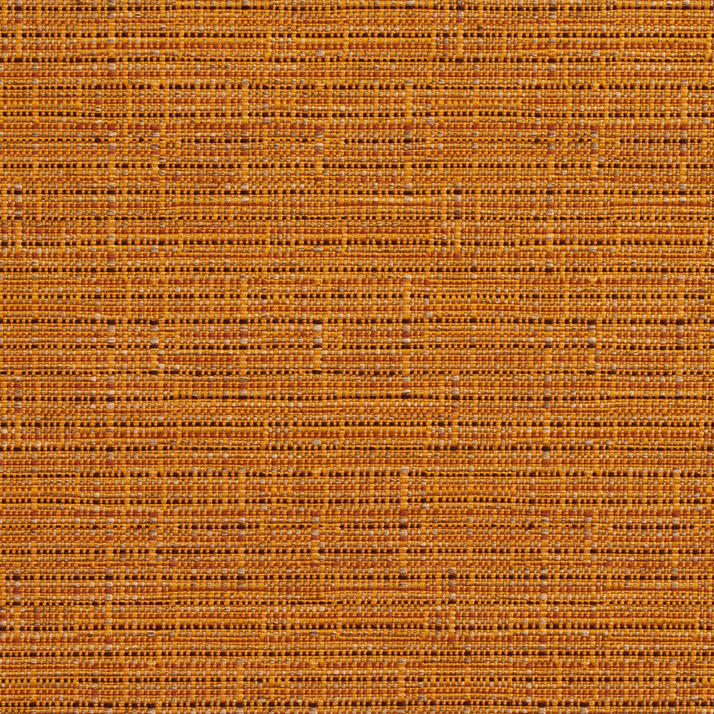 2738 Amber by Charlotte Designer Fabric Durables II 100% Woven Polyester Made In USA Exceeds 100,000 Wyzenbeek Rubs (Heavy Duty) No Repeat 54 Inches - Swanky Fabrics -