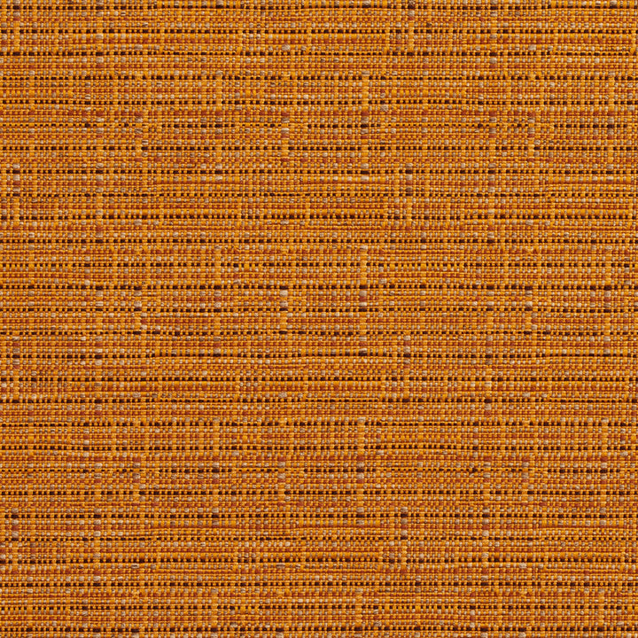 2738 Amber by Charlotte Designer Fabric Durables II 100% Woven Polyester Made In USA Exceeds 100,000 Wyzenbeek Rubs (Heavy Duty) No Repeat 54 Inches - Swanky Fabrics -